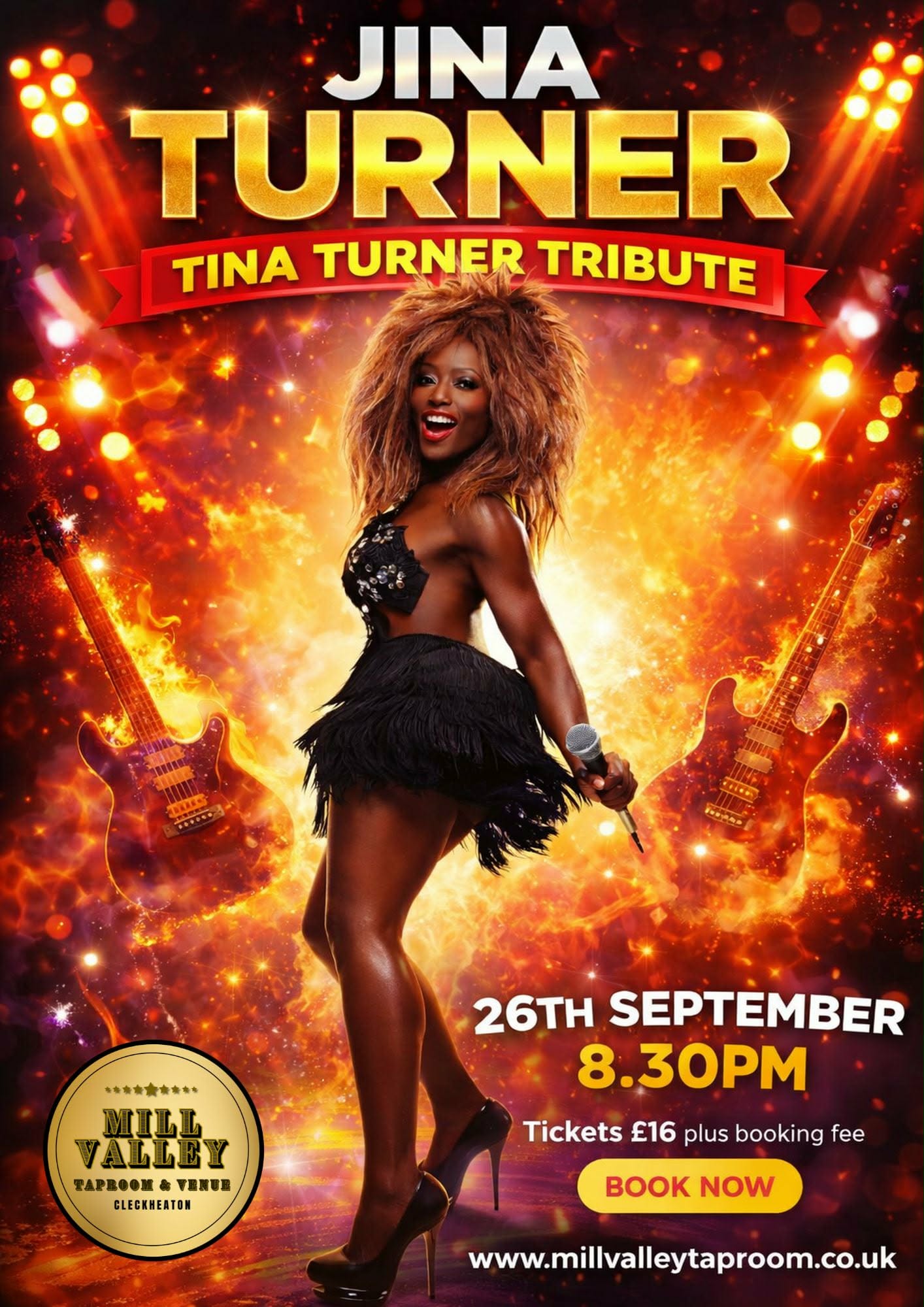JINA TINA TURNER TRIBUTE 26th SEPTEMBER STARTS 8.30PM